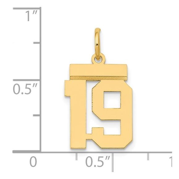 14k Yellow Gold Small Polished Number 19 Charm